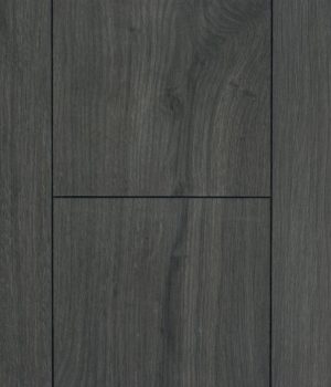 san-go-kronoswiss-d4933sa-300x350