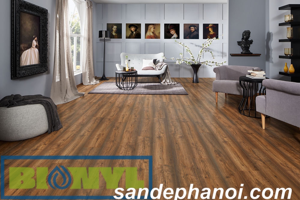 San go Binyl Viet Nam