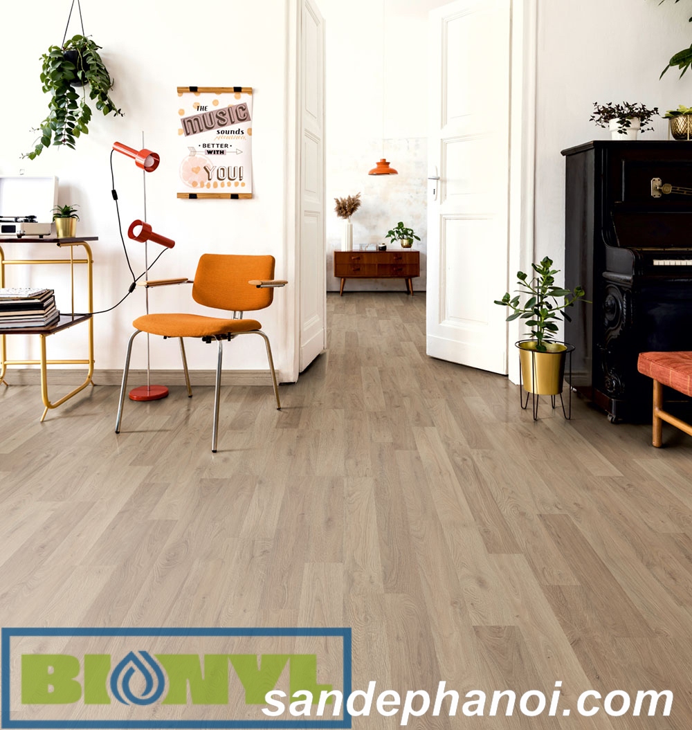 San go Binyl Viet Nam