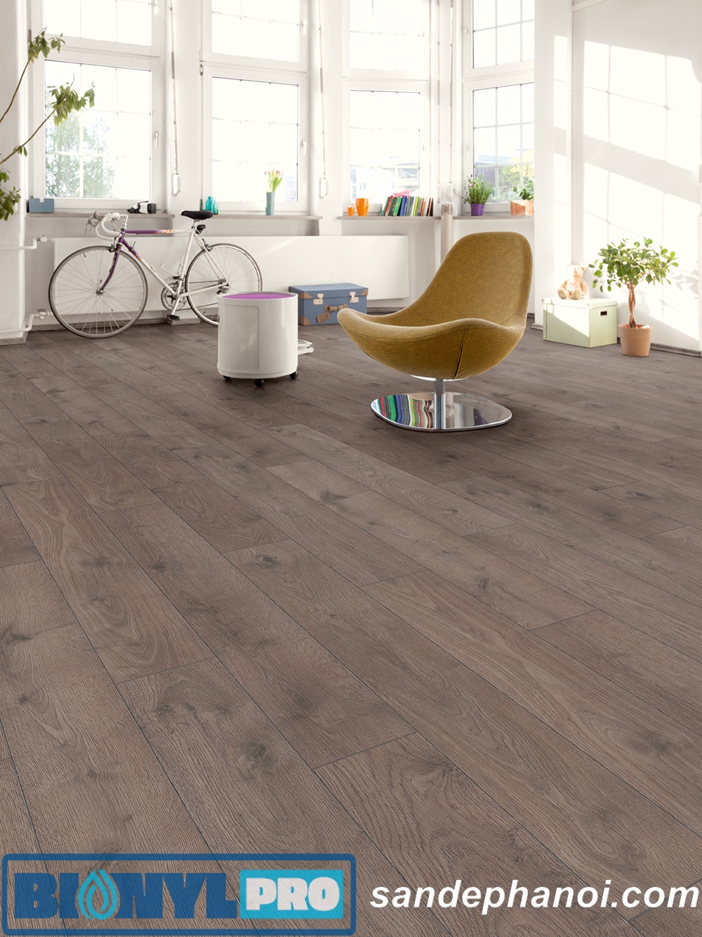 San go Binyl Viet Nam