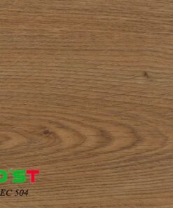 Sàn nhựa hèm khóa Eco'st ec504
